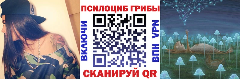 Галлюциногенные грибы Cubensis  Бобров 